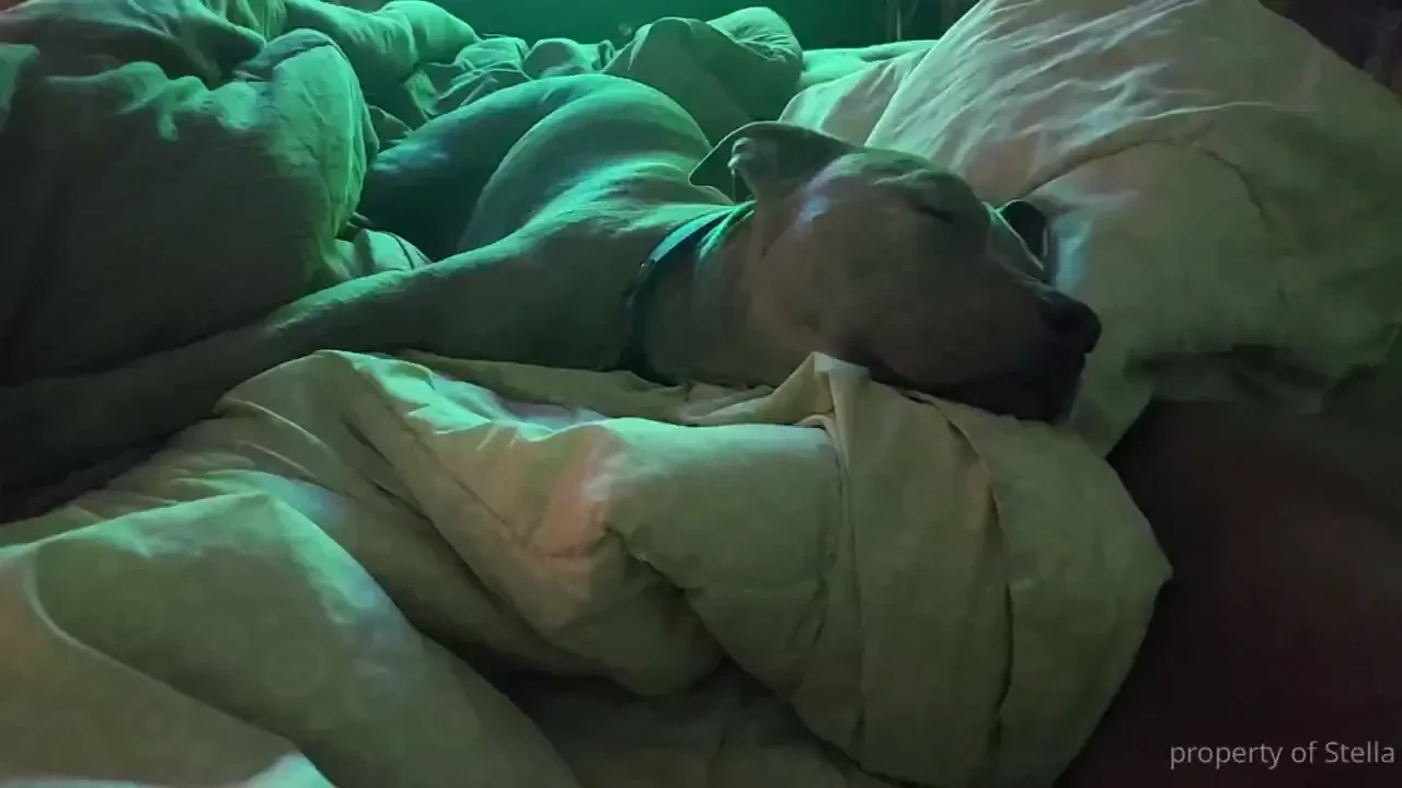 Sprawls her arms out too like queen sheebas and i m sure will wake up 