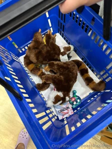 Mexico day 5 the perfect send-off our last day in mexico started extra part 5