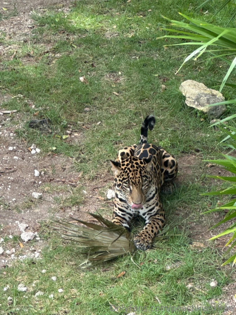 Mexico day 4 adventures in xcaret what a day we kicked things off part 6 