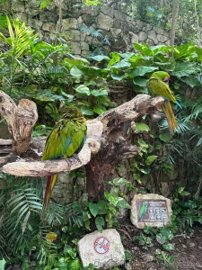 Mexico day 4 adventures in xcaret what a day we kicked things off