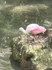 Mexico day 4 adventures in xcaret what a day we kicked things off part 2