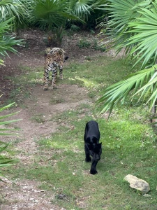 Mexico day 4 adventures in xcaret what a day we kicked things off part 4