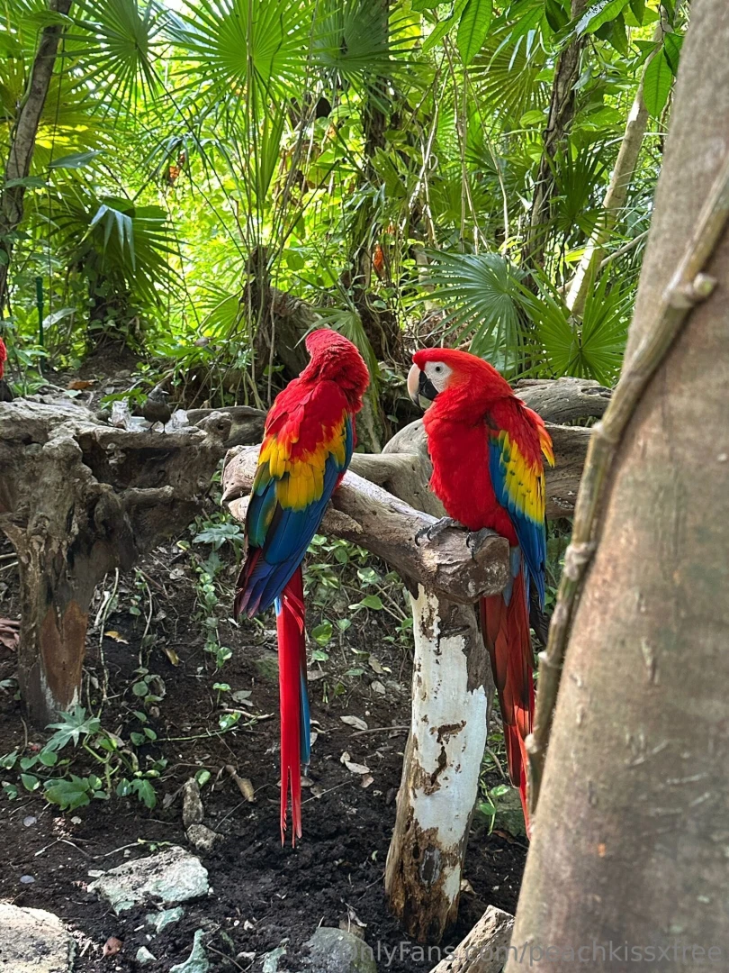 Mexico day 4 adventures in xcaret what a day we kicked things off part 3 