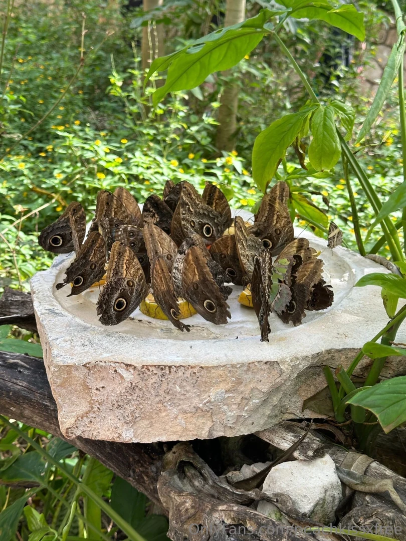 Mexico day 4 adventures in xcaret what a day we kicked things off part 5 