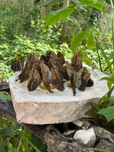 Mexico day 4 adventures in xcaret what a day we kicked things off part 5