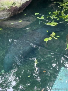 Mexico day 4 adventures in xcaret what a day we kicked things off part 9