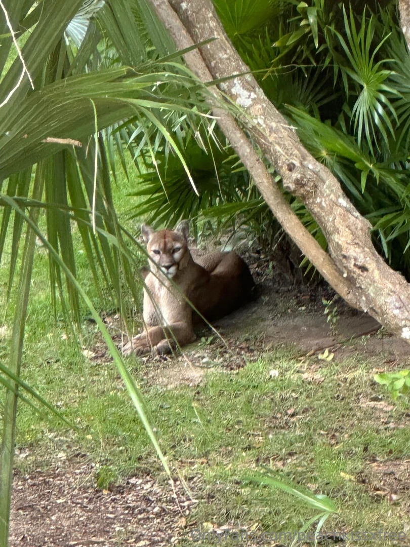 Mexico day 4 adventures in xcaret what a day we kicked things off part 8 