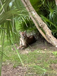 Mexico day 4 adventures in xcaret what a day we kicked things off part 8