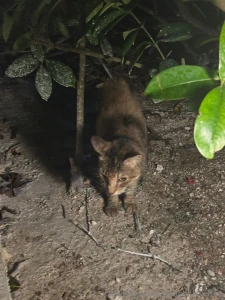 Mexico day 3 vibes another day in paradise starting with our favorite part 1