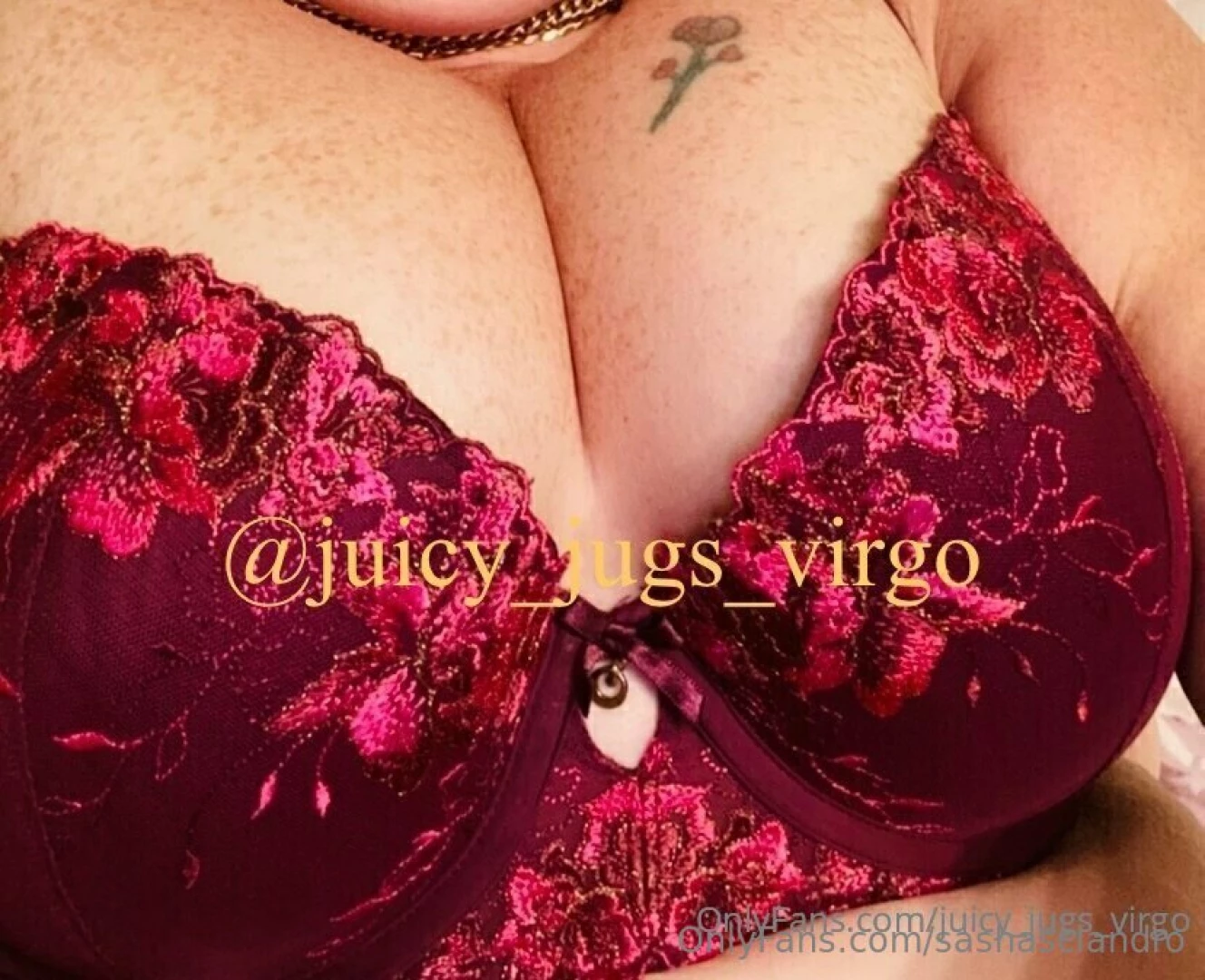 Free hot bbw milf juicy_jugs_virgo advertisement part 5 