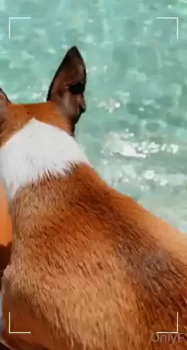 Little fun in the sun 