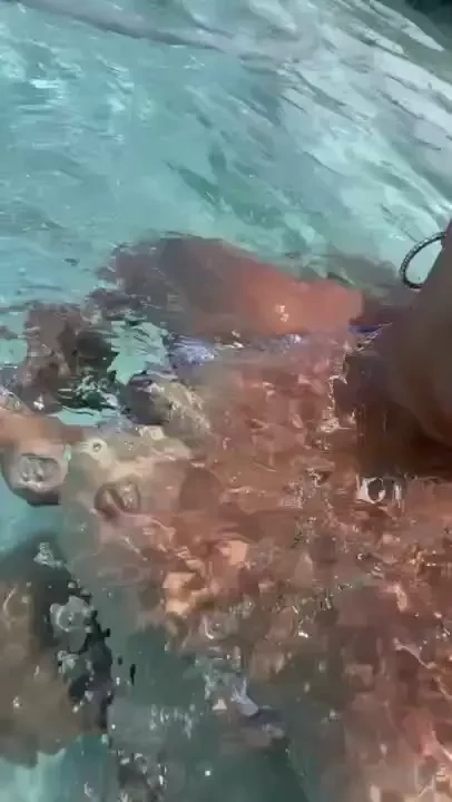 Happy tata tuesday part 1 