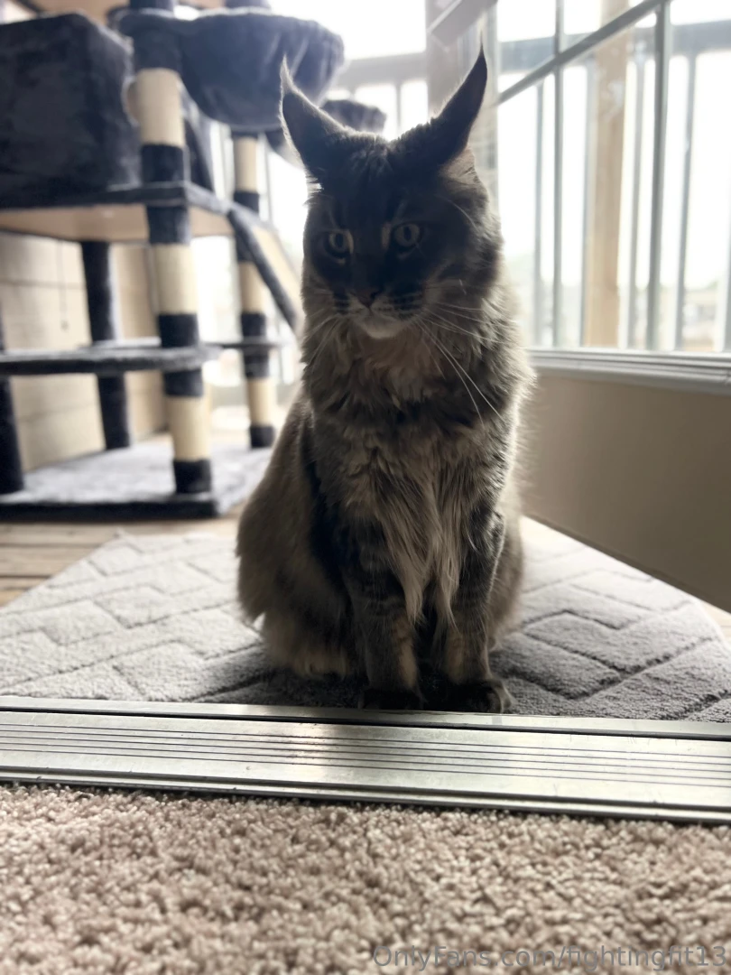 Not the content y all would expect but my sweetness behemoth and his part 1 