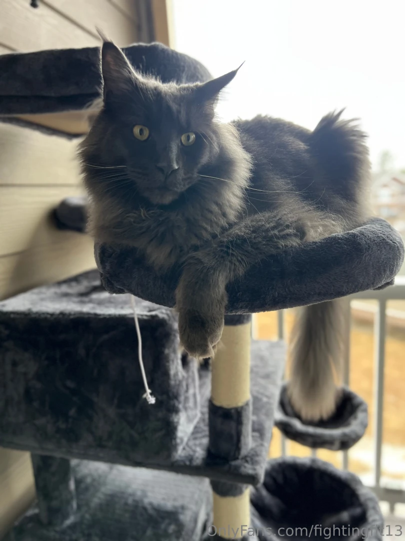 Not the content y all would expect but my sweetness behemoth and his 