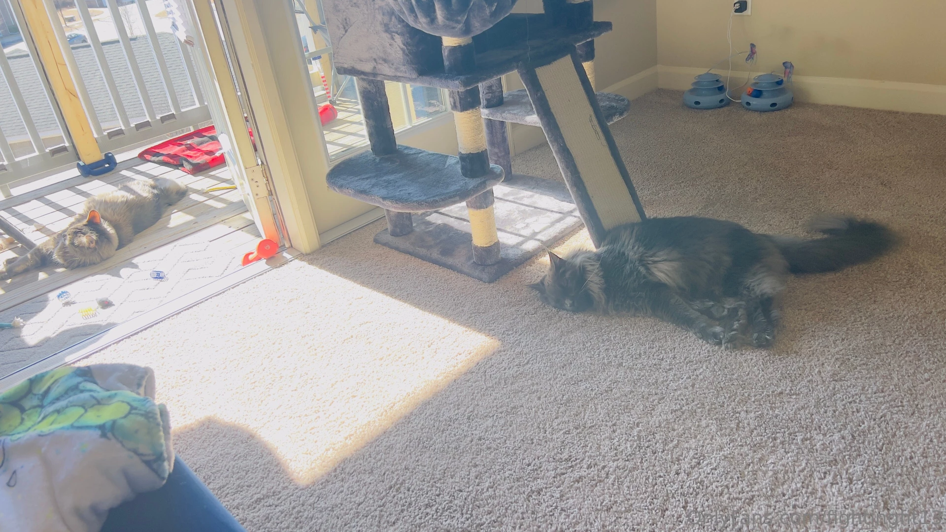 Beautiful day in the great state of north carolina door open and part 1 