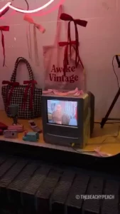 Saw this camera hooked up to a tv in a window display and the