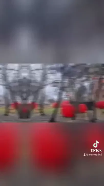 I forgot to post a video from vienna i was there 2 months ago was nice 