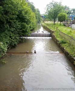 Went out for a walk in the rain today saw two round wood pigeons
