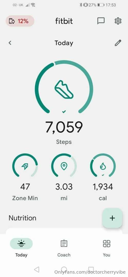 Went out for a walk in the rain today saw two round wood pigeons part 1 