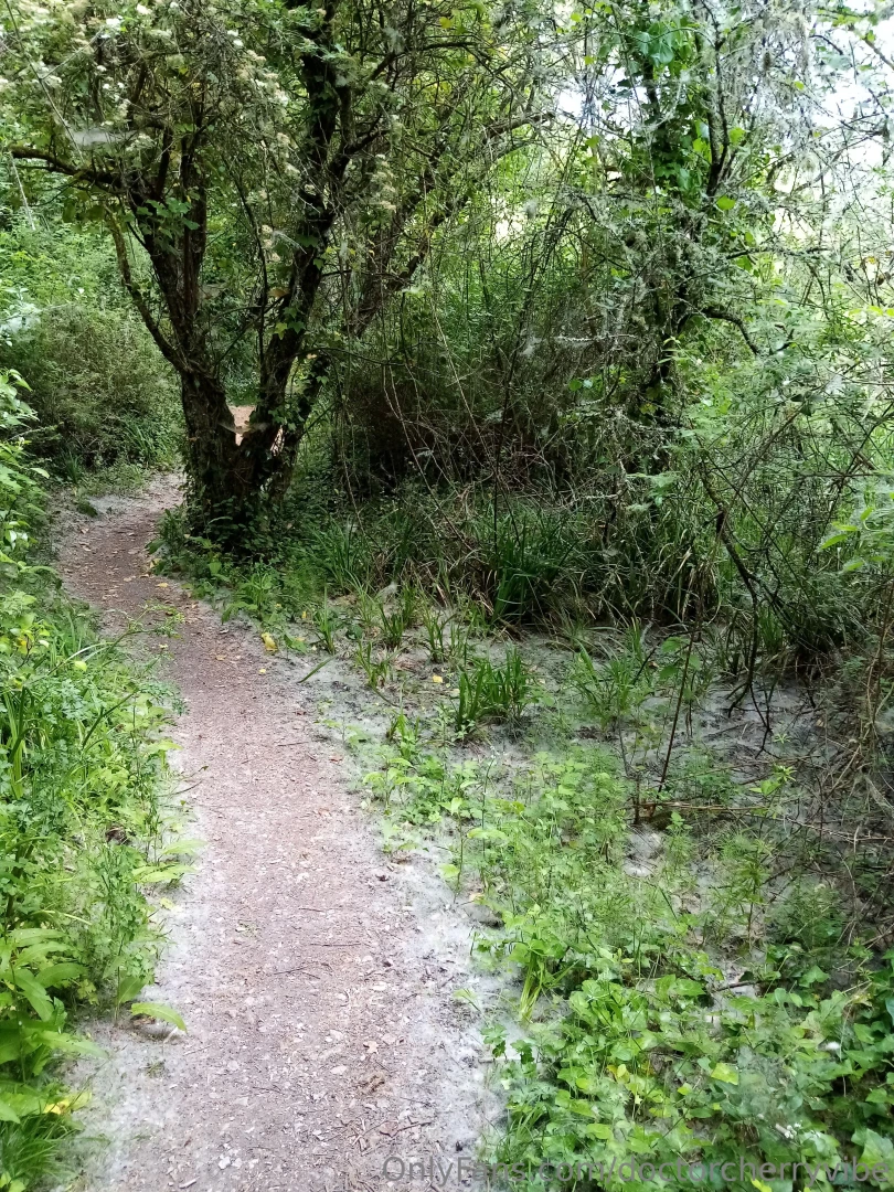 My walk today the weather was nice not too hot and not too windy part 1 