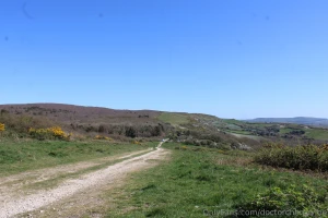 Went on a long walk with my partner this has to be the longest walk we part 1