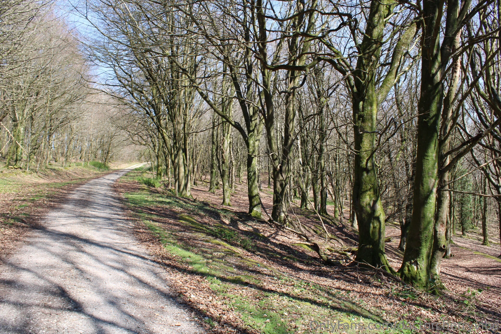 Went on a long walk with my partner this has to be the longest walk we part 3 