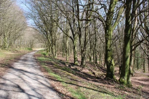 Went on a long walk with my partner this has to be the longest walk we part 3