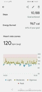 Current body measurement s bicep_32 8cm boobs_114 7cm waist_101 0cm part 1