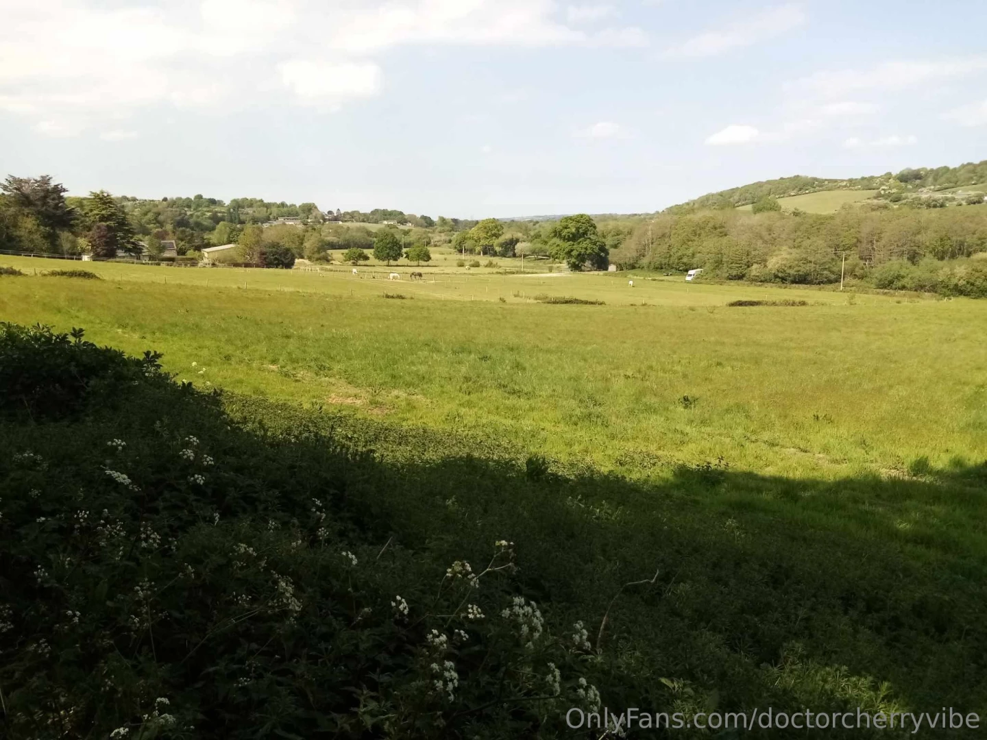 Current body measurement s bicep_32 8cm boobs_114 7cm waist_101 0cm part 2 