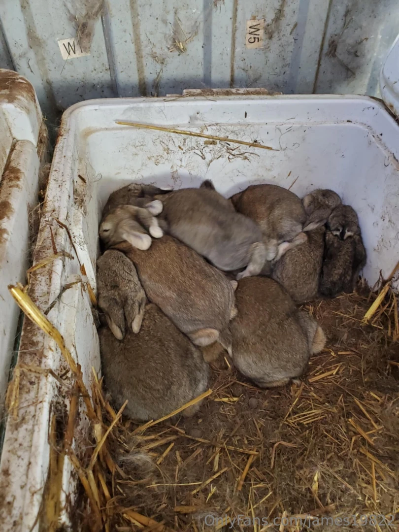 My new babies part 2 