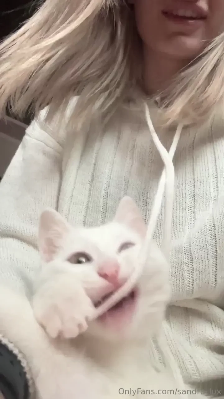 Do you have any pets part 3 