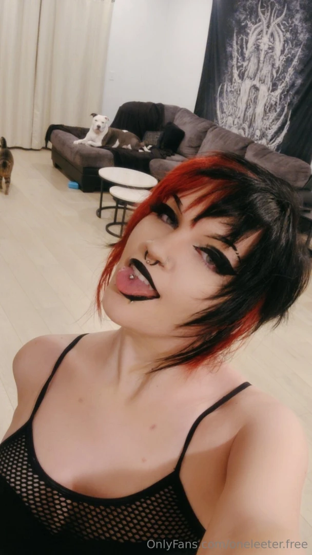 Hello there 3 things are finally settling down now that i m all moved 