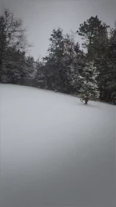 I live in florida in case you didn t know