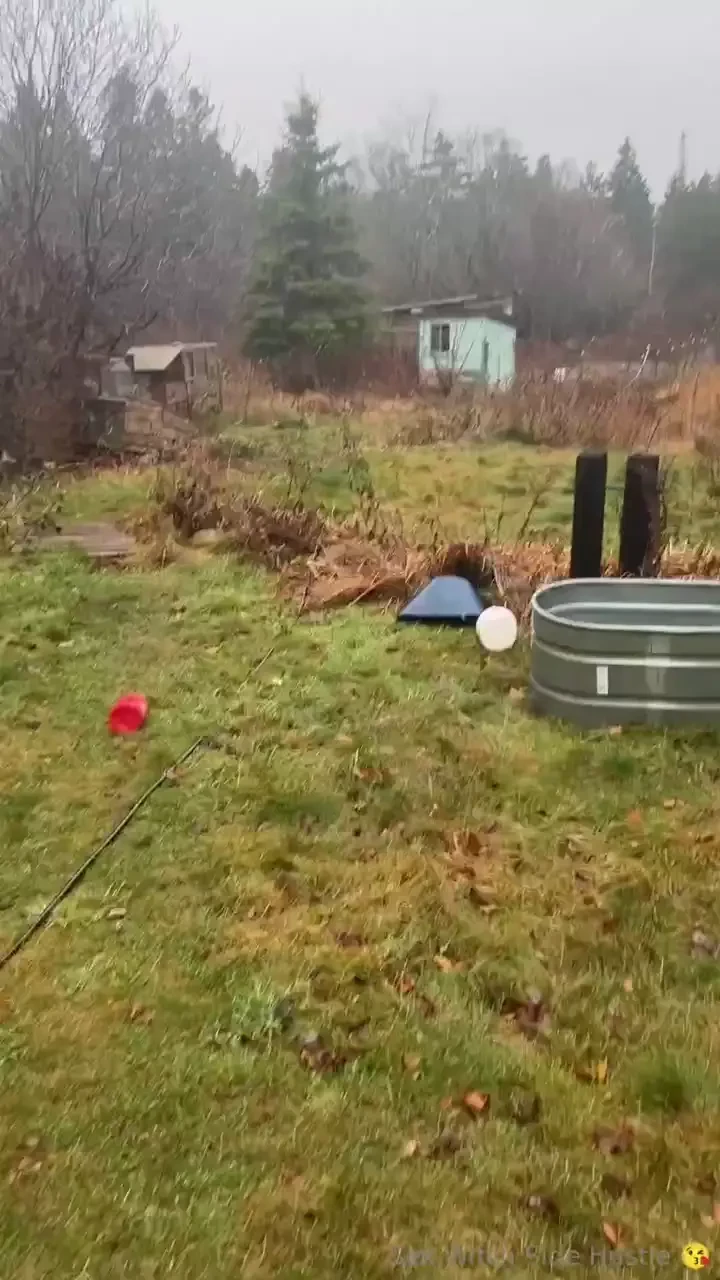 Tl dr - it s been a busy week moving forward sundays will be update part 2 