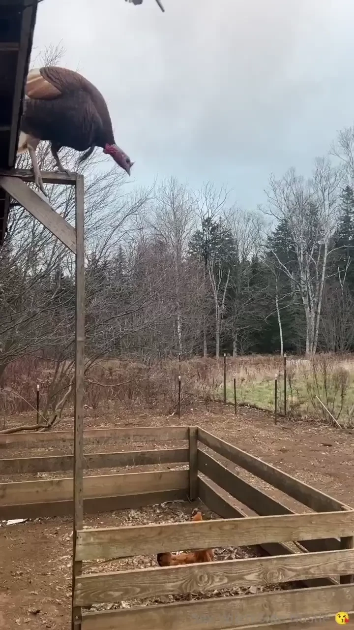 Tl dr - it s been a busy week moving forward sundays will be update part 4 