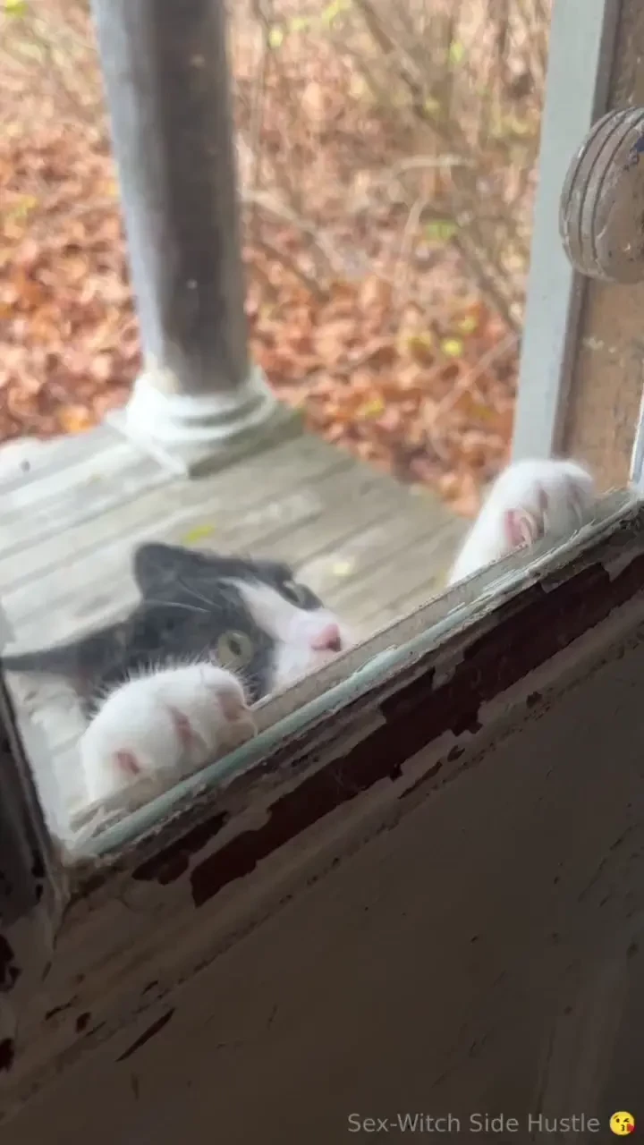 Tl dr - it s been a busy week moving forward sundays will be update 