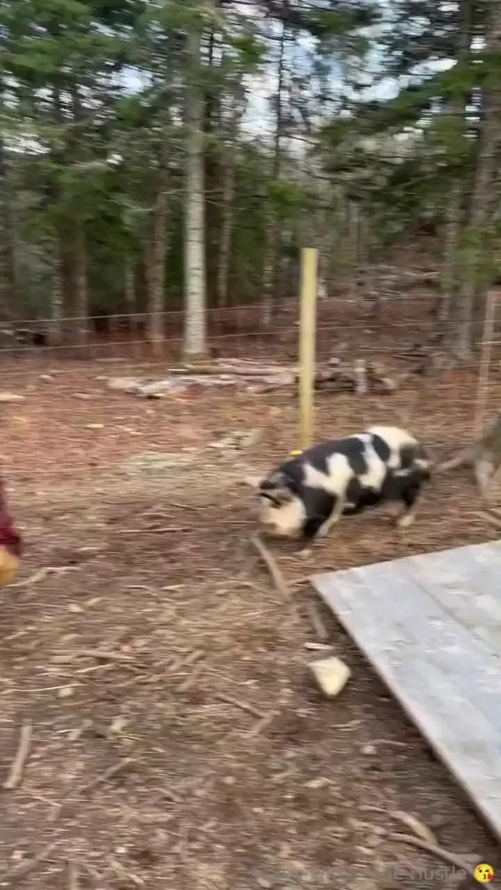 Well friends this past week was hard honestly from the second my kids part 5 