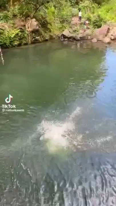 I d ask you to rate my swan dive but this sh t actually hurt 