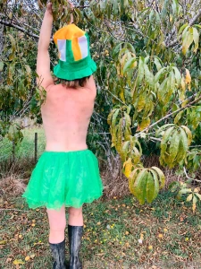 To be sure to be sure celebrating all things irish