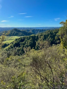 Sun boobs y what else could you want well i think i can name a few