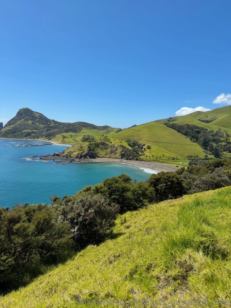 The magnificent coromandel peninsula can have me and my breasts any 