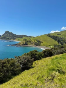 The magnificent coromandel peninsula can have me and my breasts any