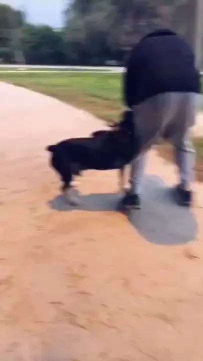 T-dog and i playing earlier at the park 