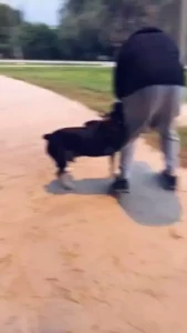 T-dog and i playing earlier at the park