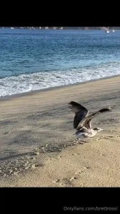 A little mini-vlog i created and edited myself for all of you here