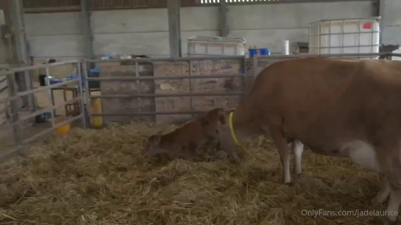 The pressure was on if you missed the last episode of model farmers 