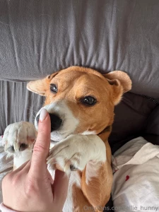 Tap shelby s nose for good luck today
