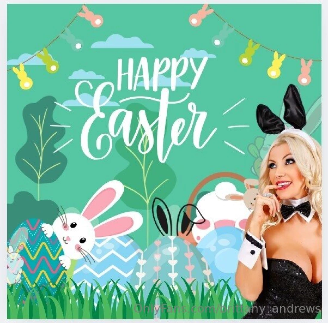 Find the naughty bunnies amp claim your reward these cheeky little 
