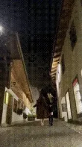 Watch kittenwithfangs and i stroll through the streets of gruy res on