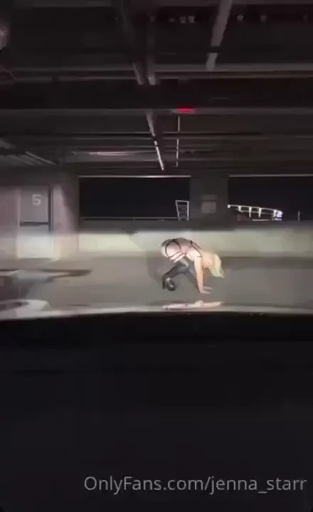 Looking for a little bitch 